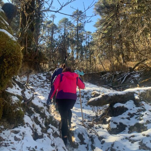 Himalayan Traverse & Sacred Valleys – Druk Path Trek with Central Bhutan Circuit